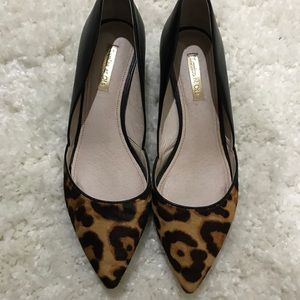 Leopard print Louise et Cie pumps. 2 inch heel.